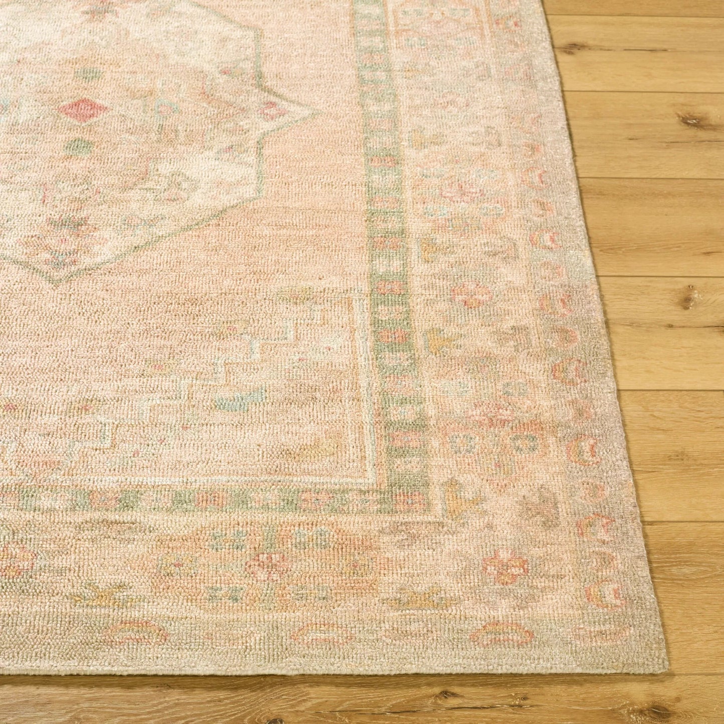 004 SI-2349538,SI-2349539,SI-2349540,SI-2349541 | Closeup | Luciana GALU-2301 Rug by Galey Alix x Livabliss in sage, sandstone, blush, ivory, dusty rose. Made from polyester in a unique style.