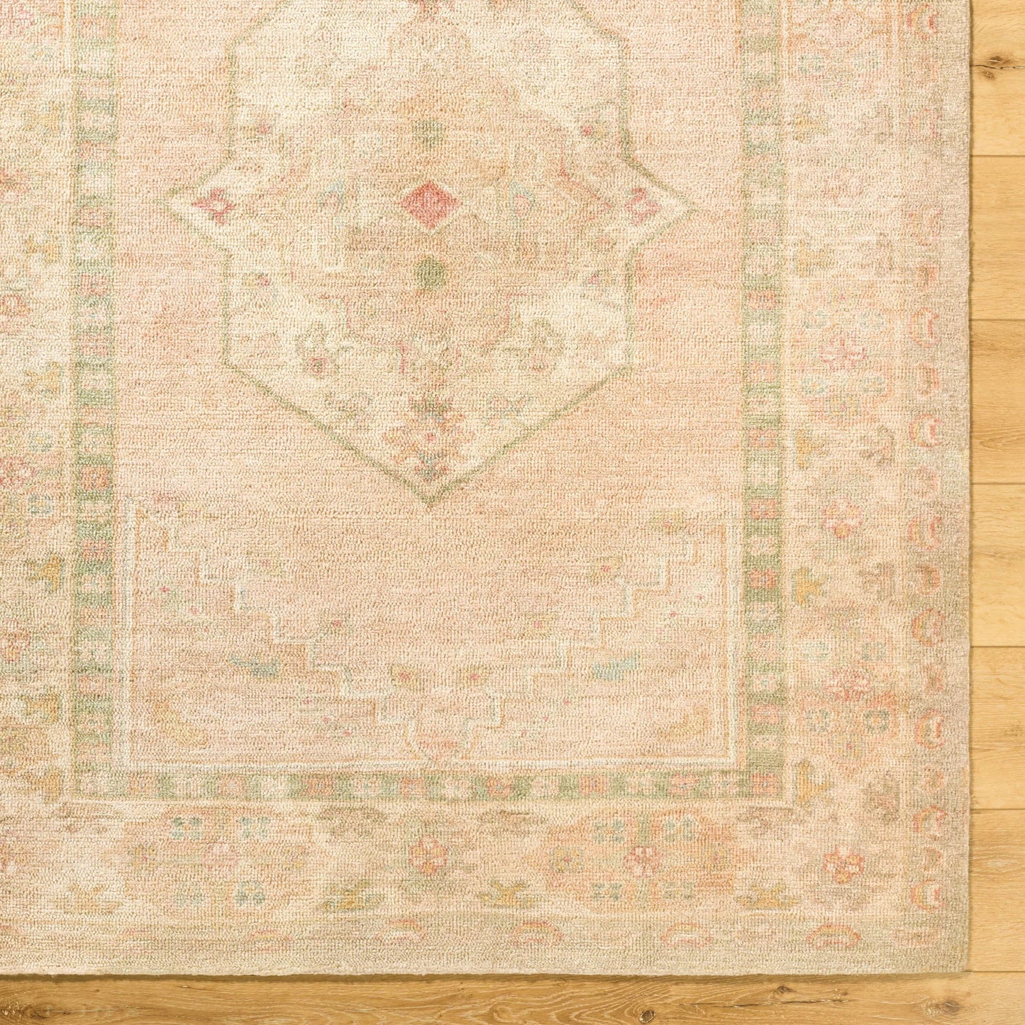 007 SI-2349538,SI-2349539,SI-2349540,SI-2349541 | Closeup | Luciana GALU-2301 Rug by Galey Alix x Livabliss in sage, sandstone, blush, ivory, dusty rose. Made from polyester in a unique style.