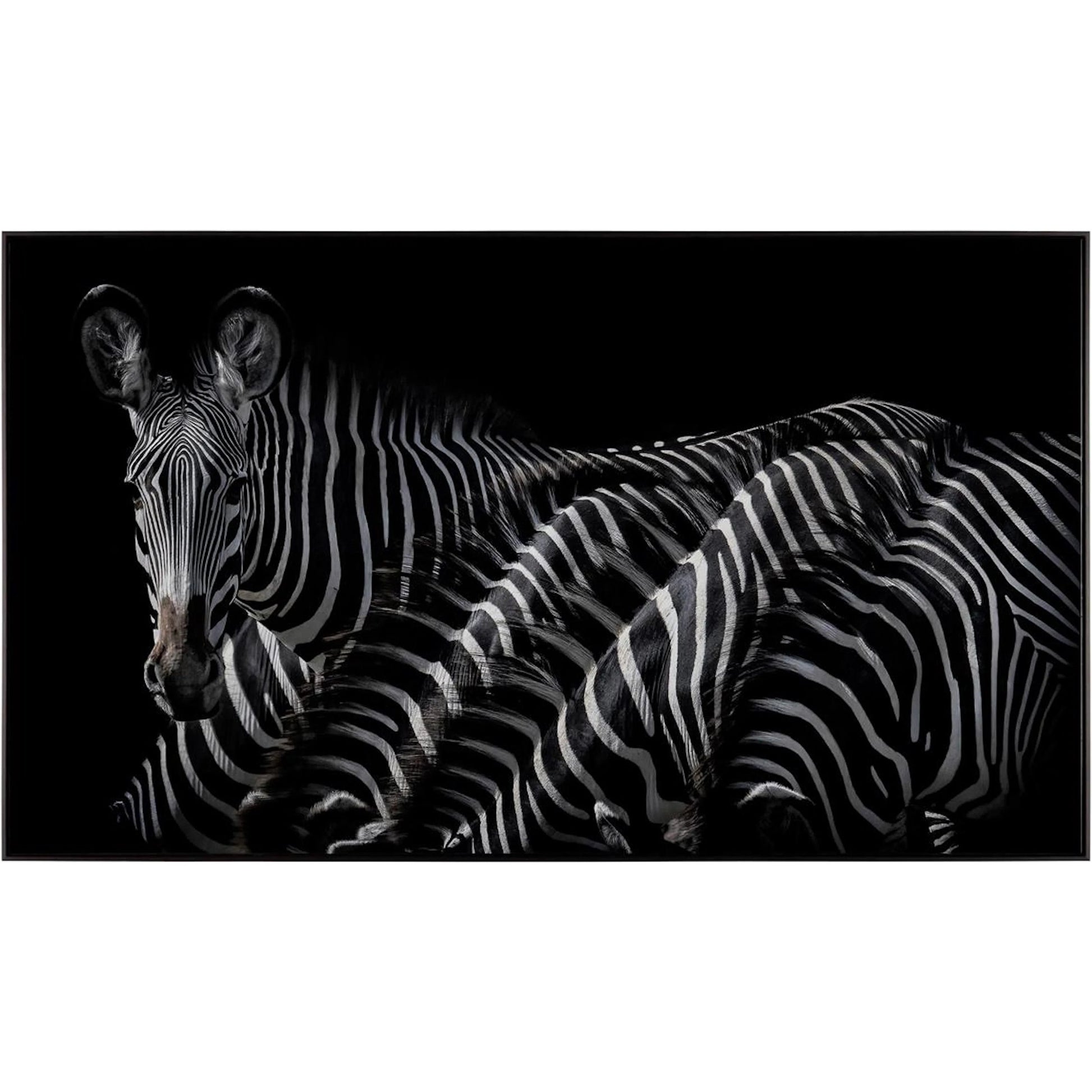Rodney Bursiel's Dazzle of Grevys by John-Richard. Made from unique in a unique style.