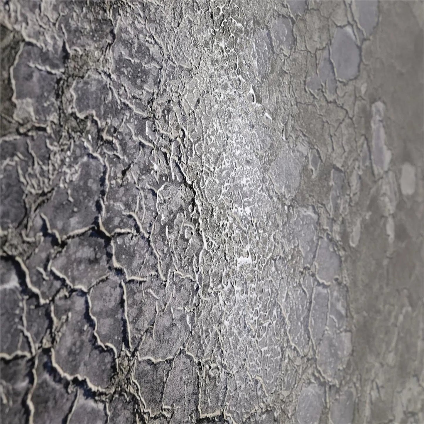 003 SI-2629506 | Closeup | Rodney Bursiel's Salt Fields by John-Richard. Made from unique in a unique style.