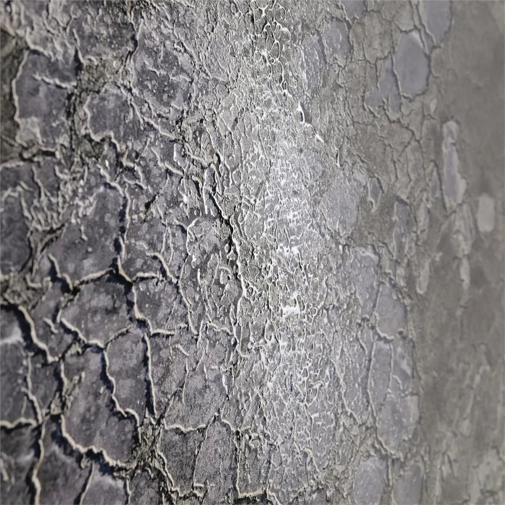 Rodney Bursiel's Salt Fields by John-Richard. Made from unique in a unique style.