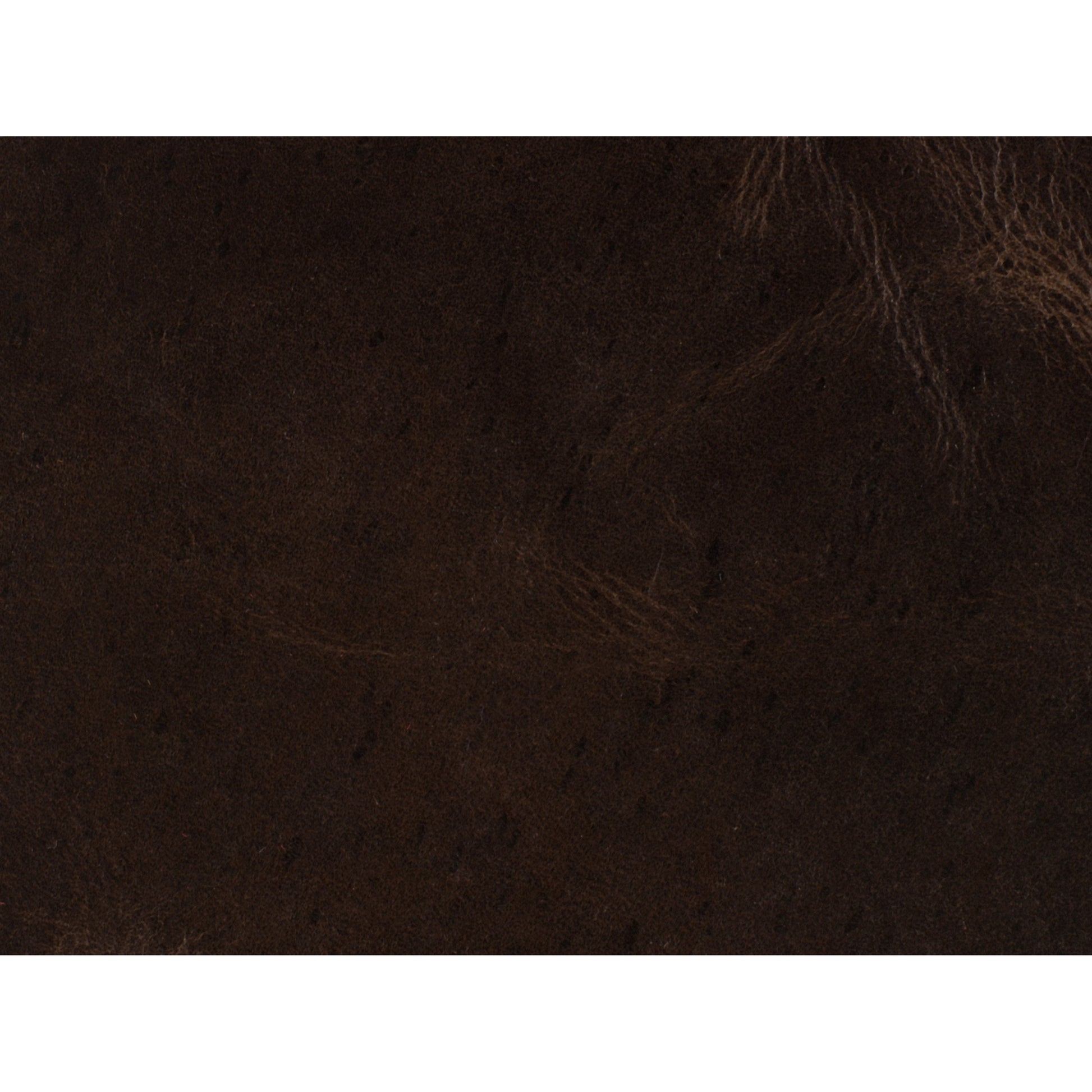 Chester Stationary Sofa by Hooker Furniture in brown. Made from leather in a rustic style.