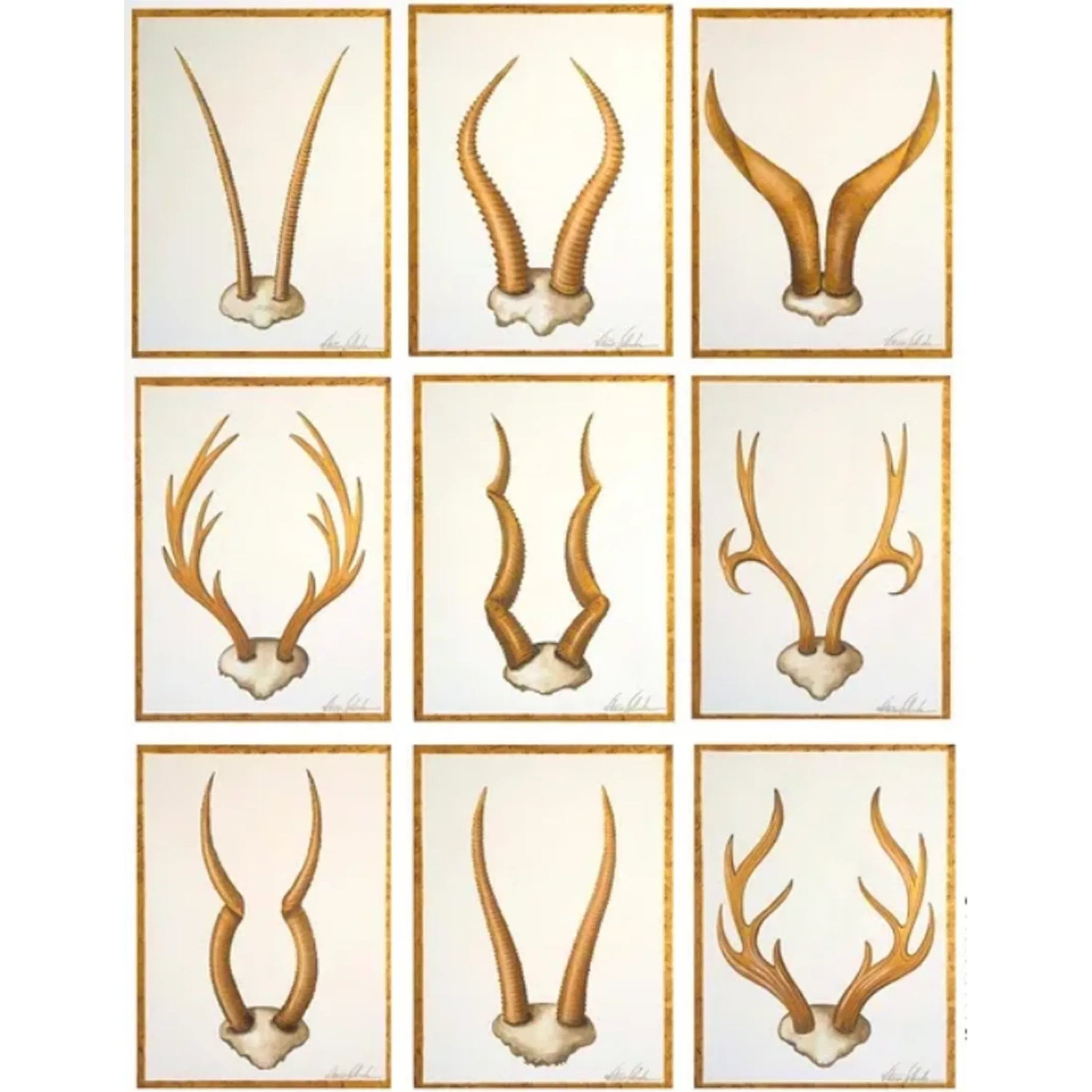 Golden Antlers Faux Frame by Zentique in gold leaf and gold. Made from canvas, wood frame in a eclectic & global style.