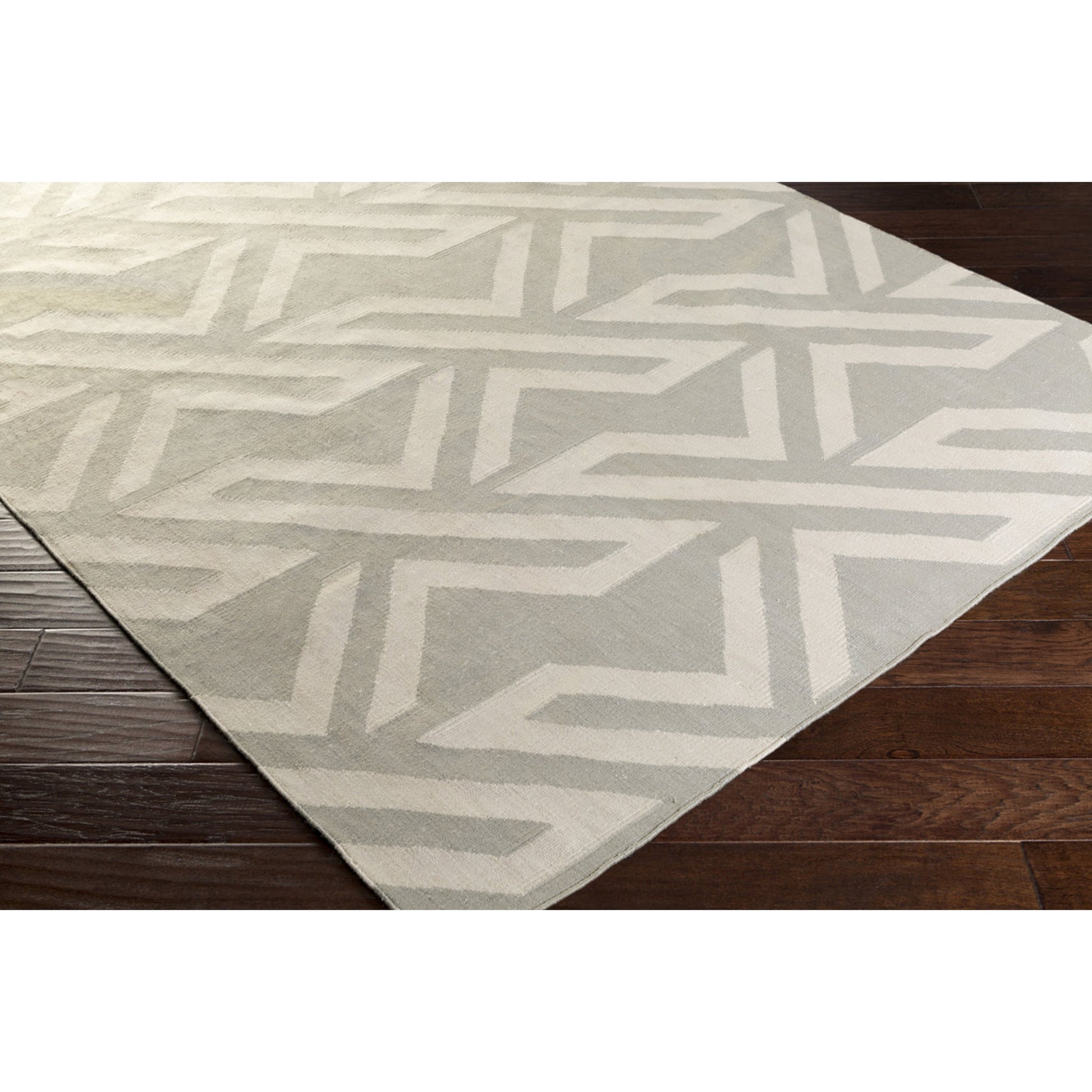 Galvany GVY-3012 Rug by Surya. Made from viscose, cotton in a unique style.