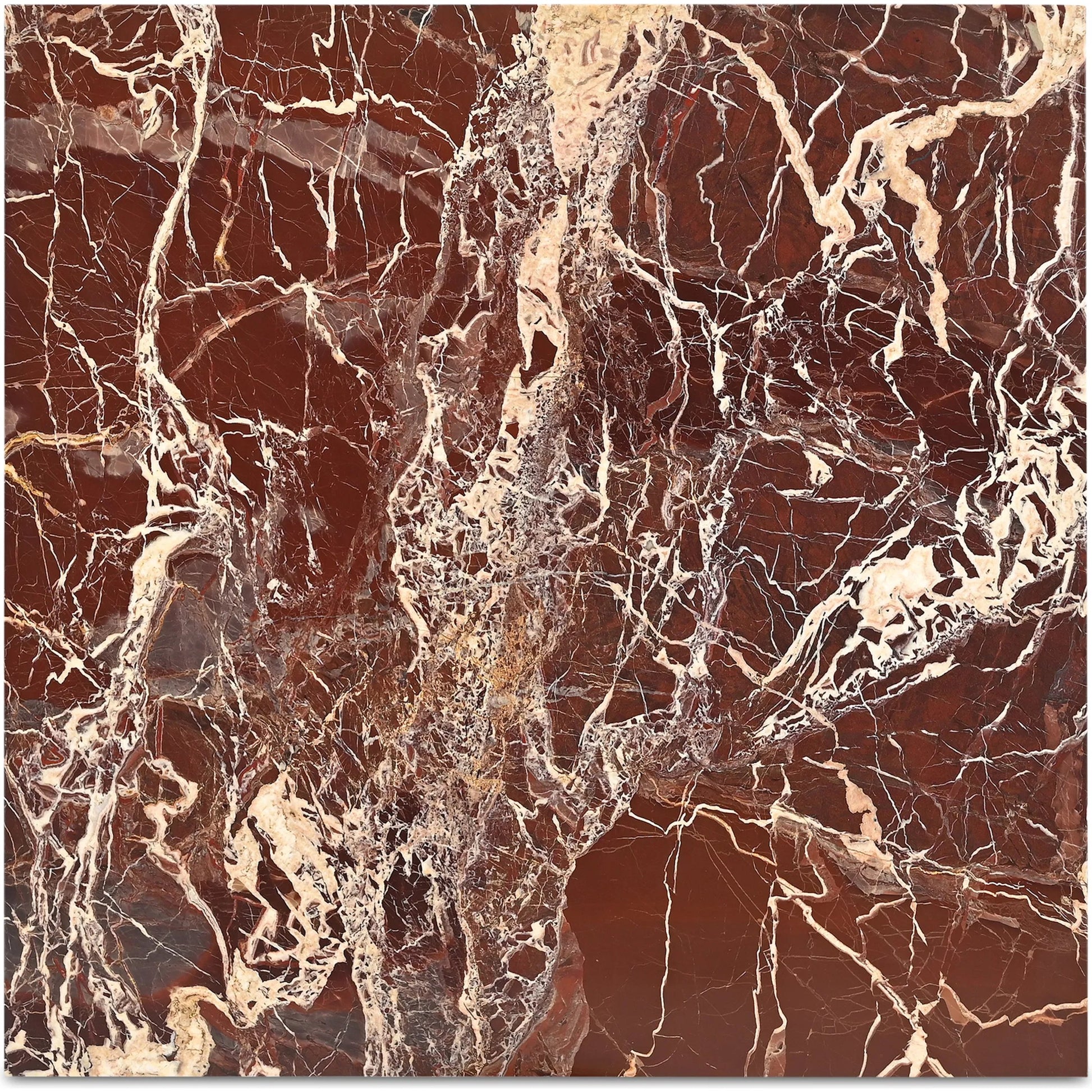 Rosa Accent Table by Moe's Home Collection. Made from unique in a transitional style.