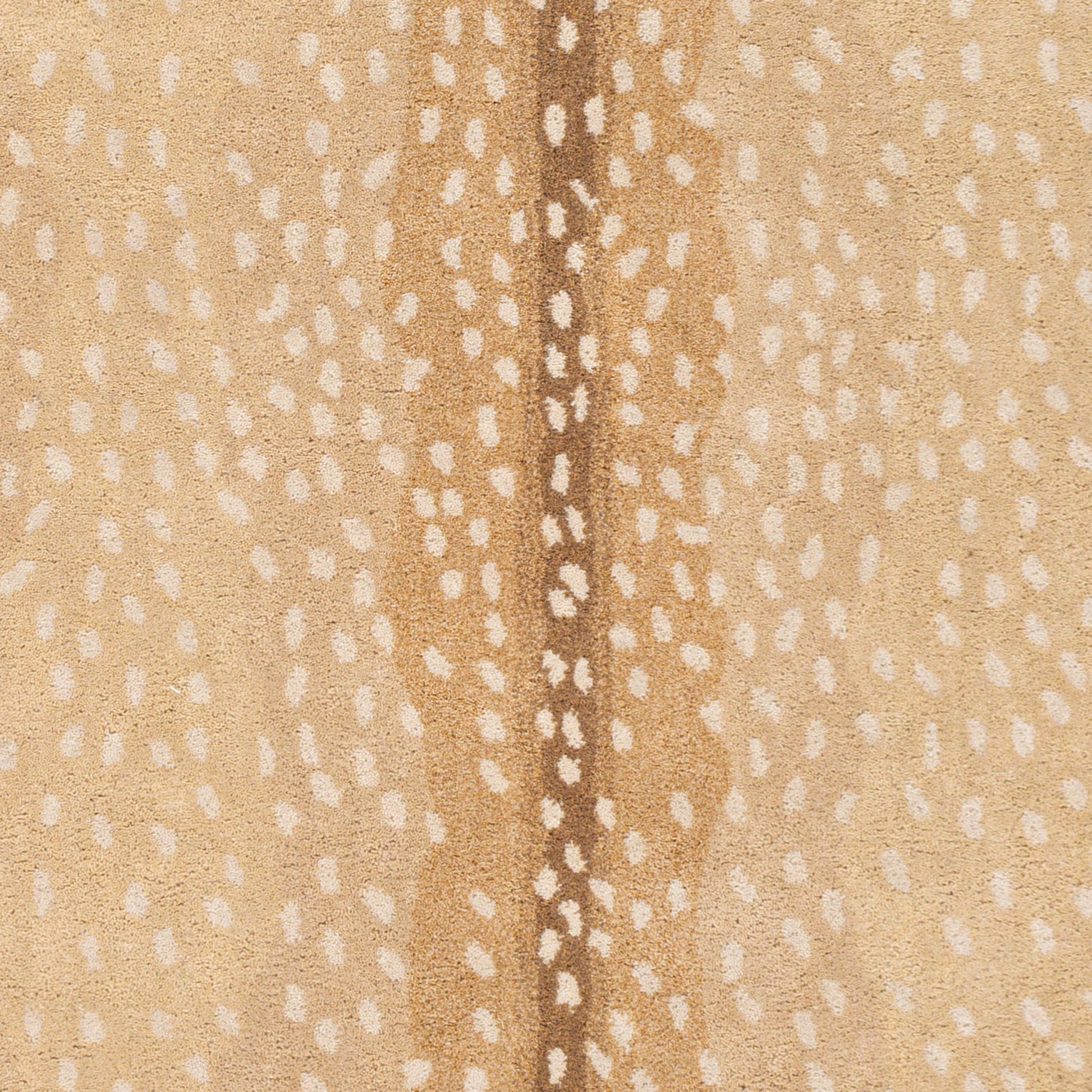 Gazelle Rug - 26511 by Surya. Made from 100% wool in a unique style.