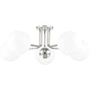 Polished Nickel