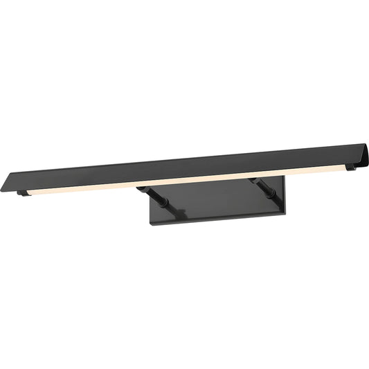 Regan Picture Light by Mitzi. Made from steel in a transitional style.