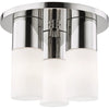 Polished Nickel