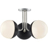 Polished Nickel Black