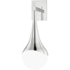 Polished Nickel