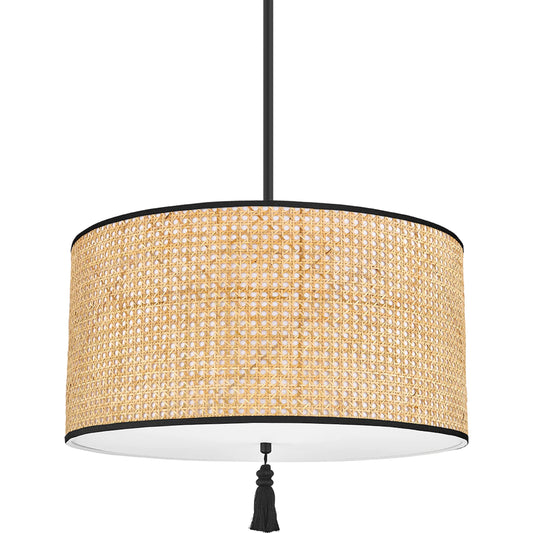 Dolores Pendant by Mitzi in soft black. Made from steel in a coastal style.