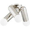 Polished Nickel