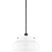 Luella 1 Light Pendant by Mitzi. Made from unique in a modern style.