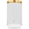 Aged Brass, Soft White