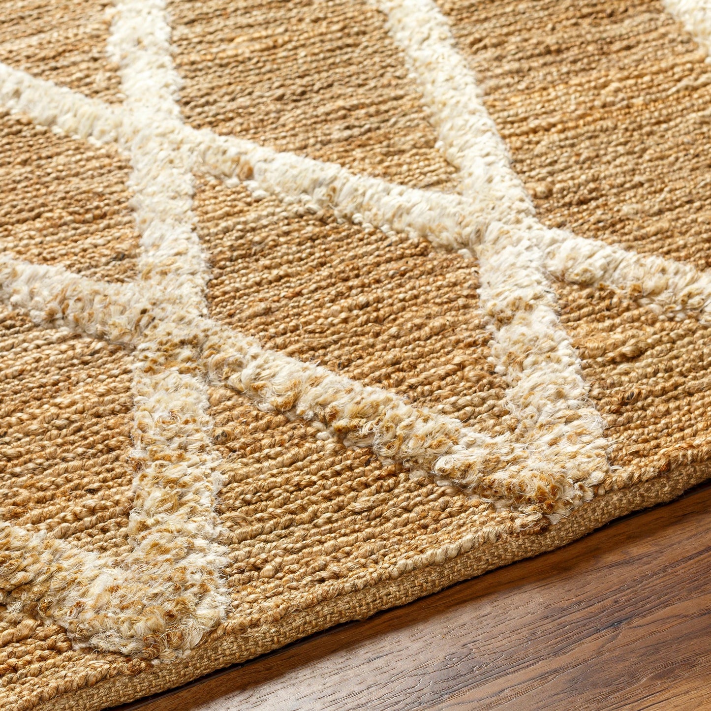 005 SI-1917553,SI-1917554,SI-1917555 | Closeup | Hadley HDE-2300 Indoor/Outdoor Rug by Surya in tan. Made from main: 100% jute in a unique style.
