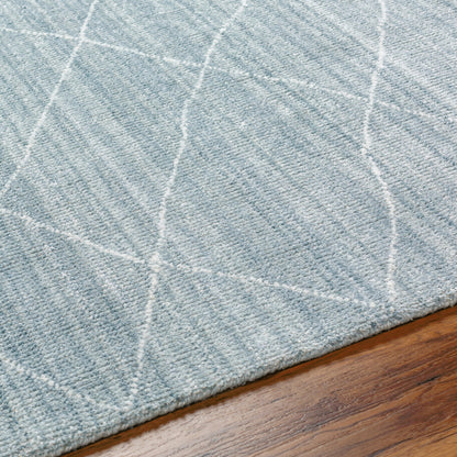 Highland HHD-2300 Indoor/Outdoor Rug by Surya. Made from 100% recycled pet yarn in a unique style.