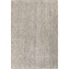 Ivory, Light Gray, Gray, Light Beige, Charcoal / 2' x 3'