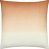 Medium Brown, Brown, Tan, Beige / Down Feather / 18" x 18"