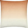 Medium Brown, Brown, Tan, Beige / Down Feather / 18" x 18"