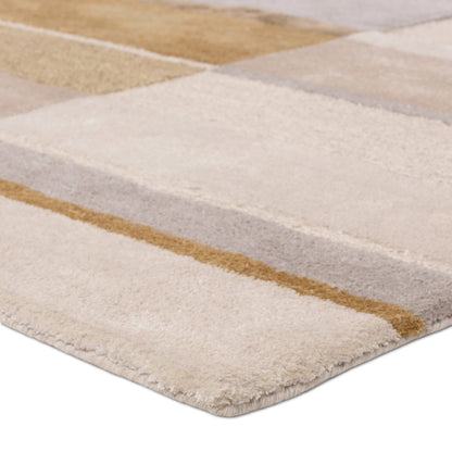 Iconic Berkay Rug by Jaipur Living in gray. Made from 60% wool 40% viscose in a unique style.