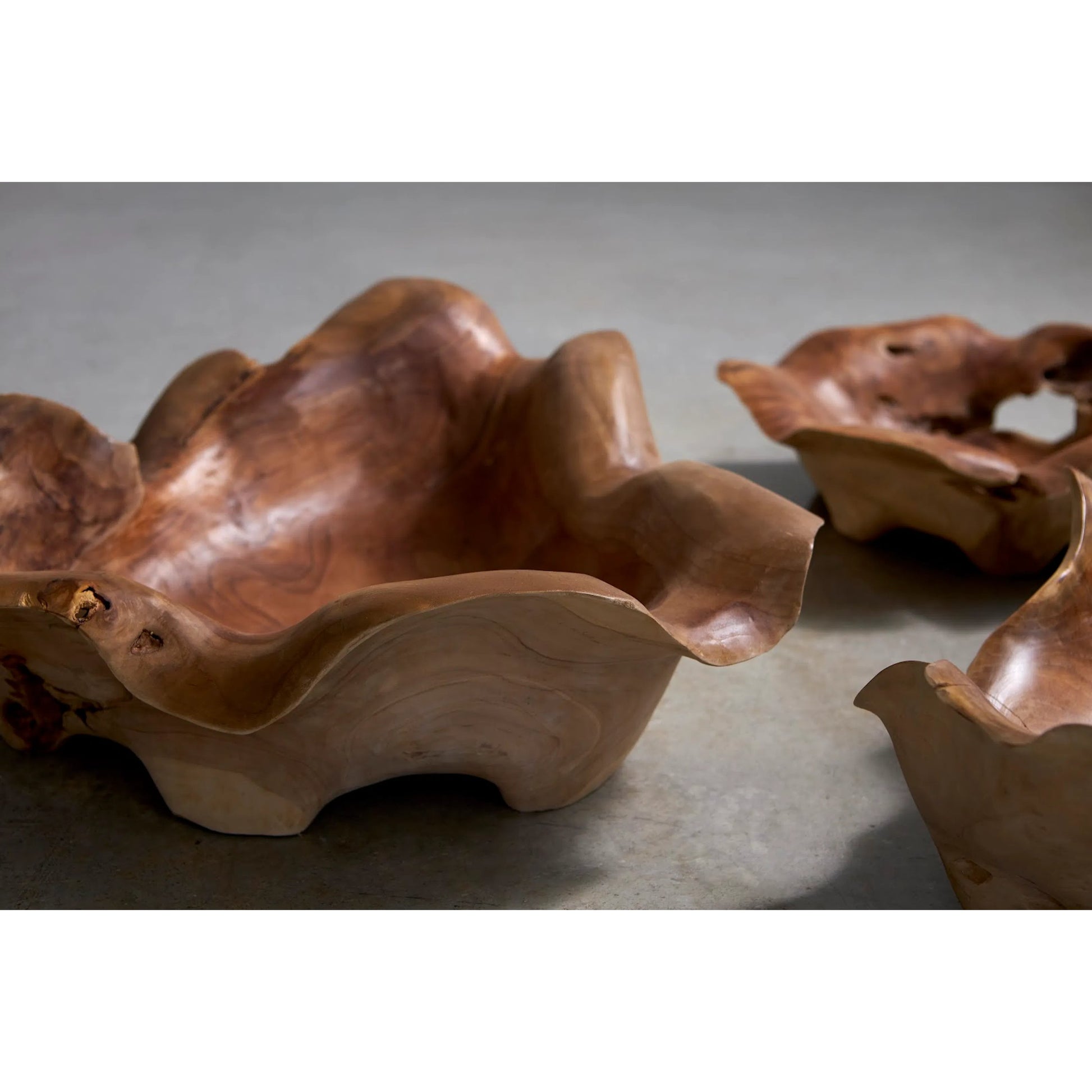 Carving Bowl by Phillips Collection in brown and natural. Made from wood in a cottage & farmhouse style.