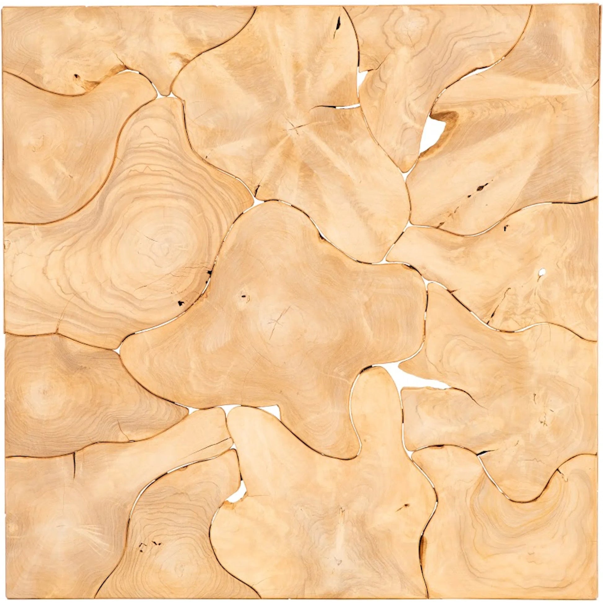 Teak Slice Coffee Table by Phillips Collection in bleached. Made from wood, teak in a unique style.