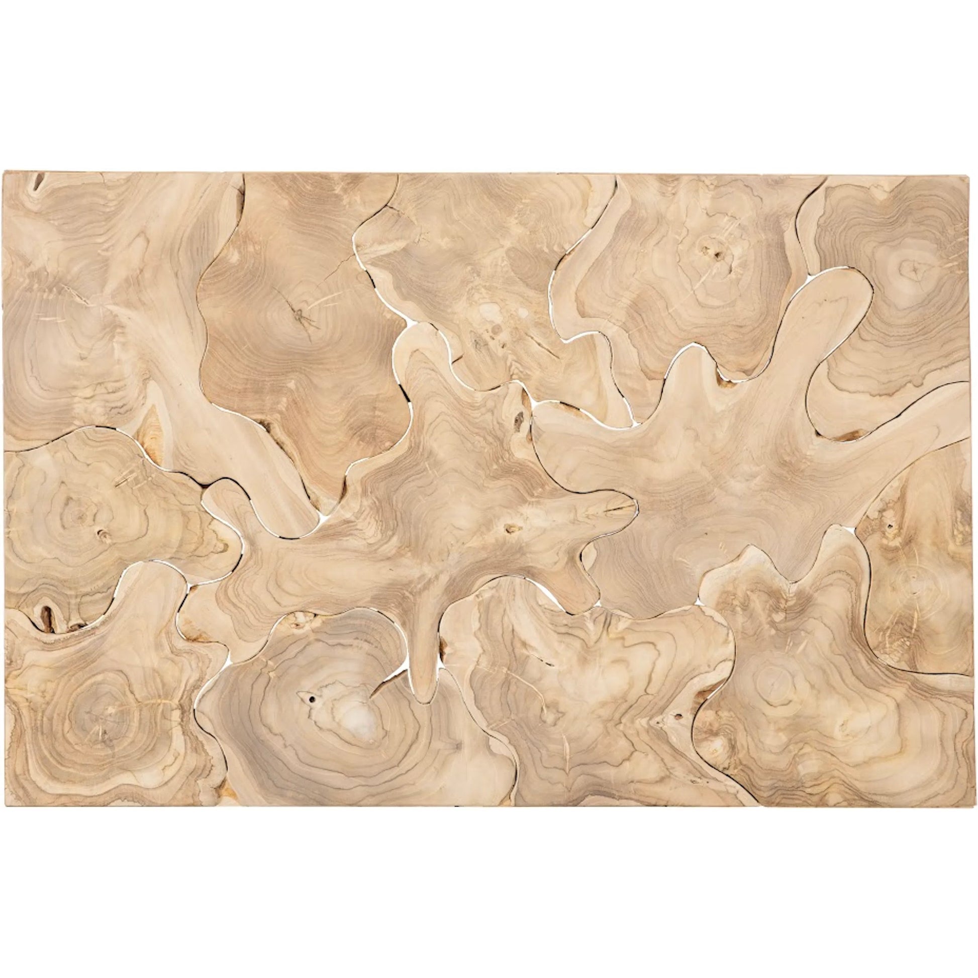 Teak Slice Rectangular Coffee Table by Phillips Collection. Made from wood, teak in a modern style.