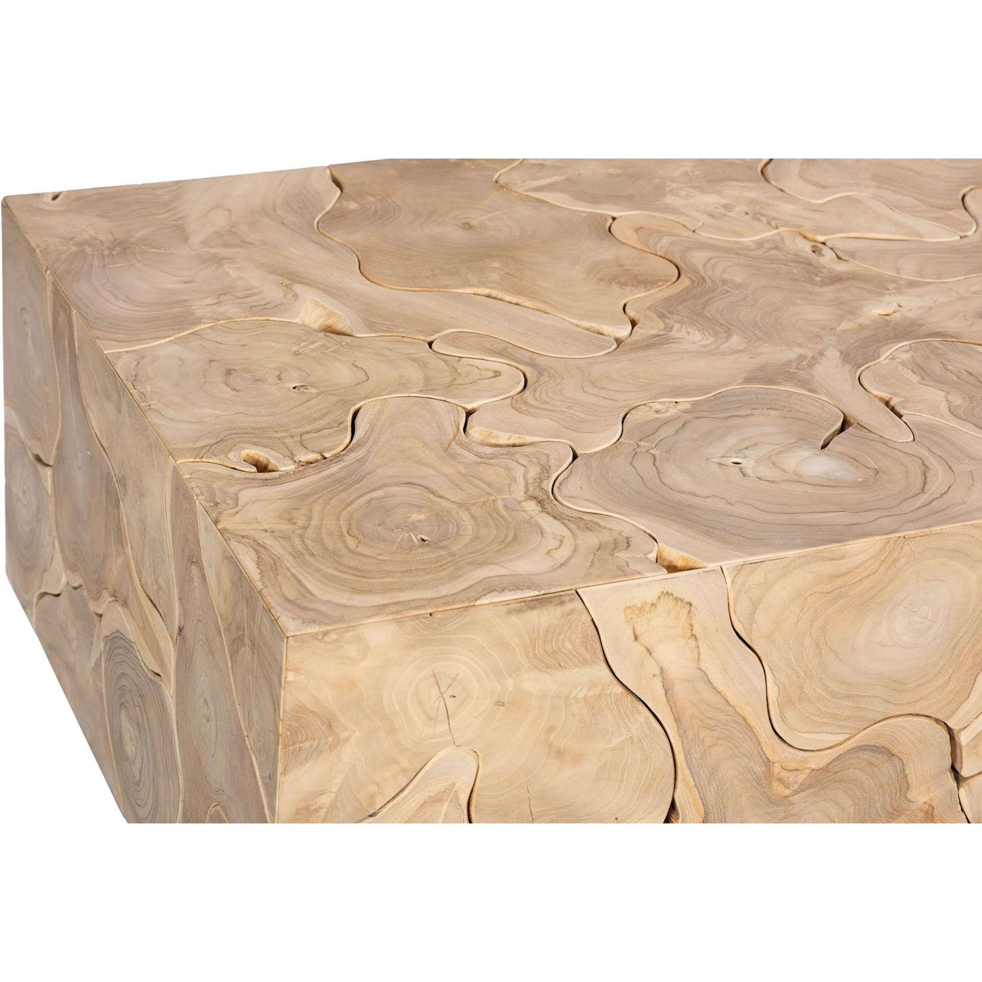 Teak Slice Rectangular Coffee Table by Phillips Collection. Made from wood, teak in a modern style.
