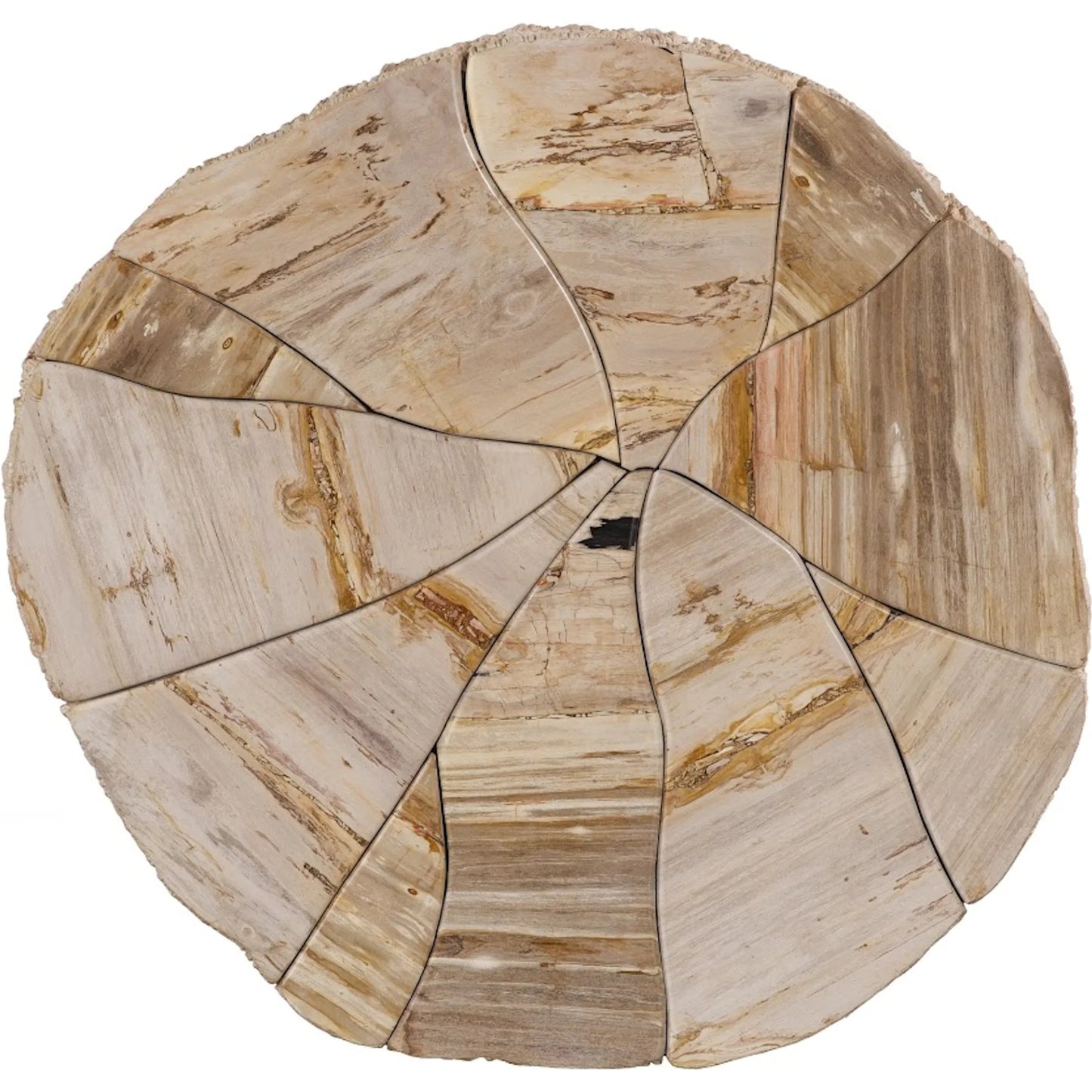 002 SI-2527635 | Additional Silo | Converge Petrified Coffee Table by Phillips Collection in beige, black, brown, off white. Made from petrified wood resin in a unique style.