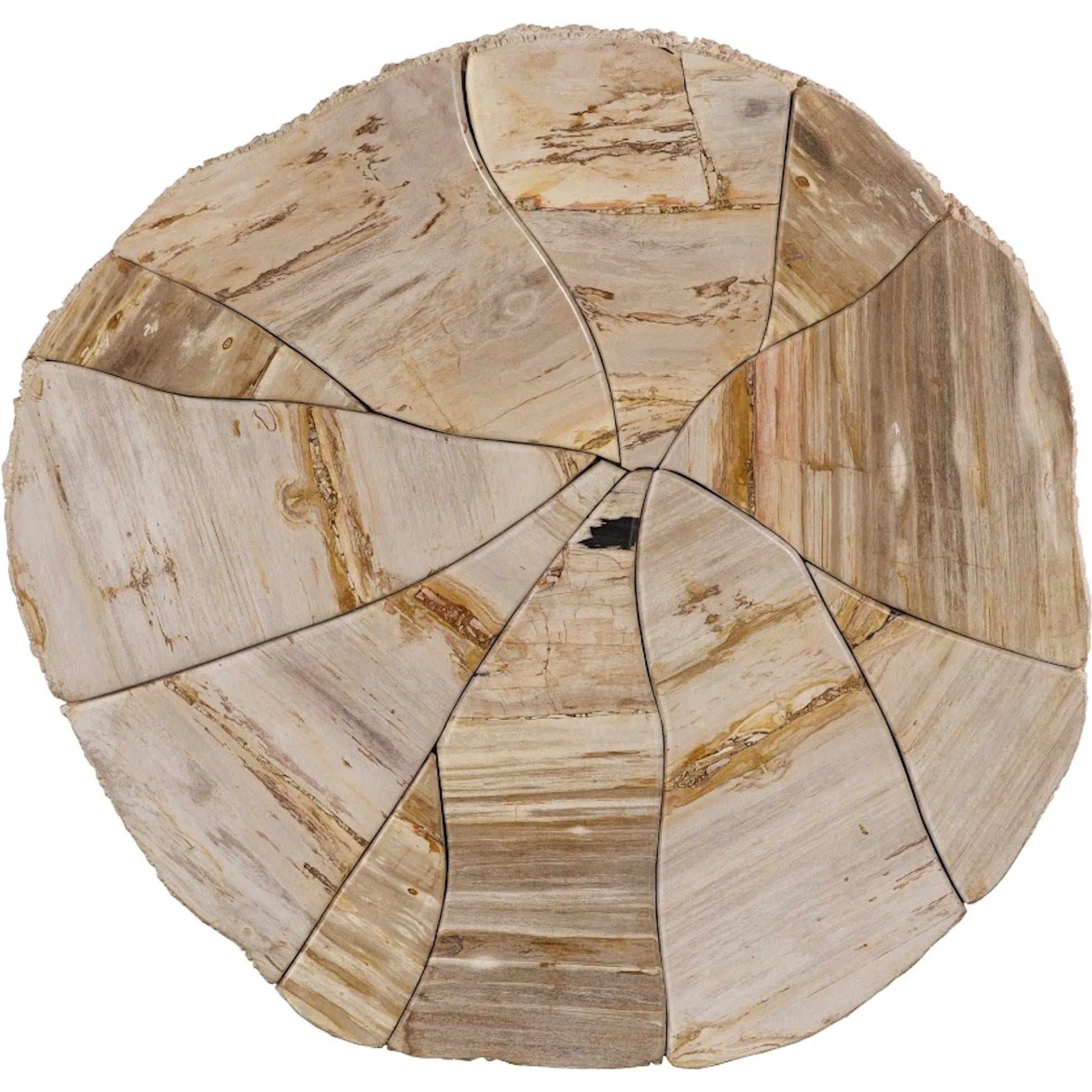 Converge Petrified Coffee Table by Phillips Collection in beige, black, brown, off white. Made from petrified wood resin in a unique style.