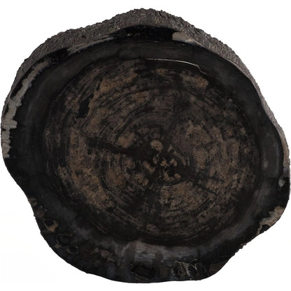 Chaka Petrified Coffee Table by Phillips Collection in black. Made from petrified wood fiberglass, resin in a unique style.