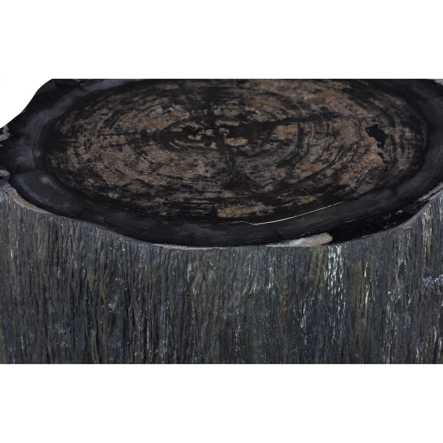 008 SI-2527631 | Closeup | Chaka Petrified Coffee Table by Phillips Collection in black. Made from petrified wood fiberglass, resin in a unique style.