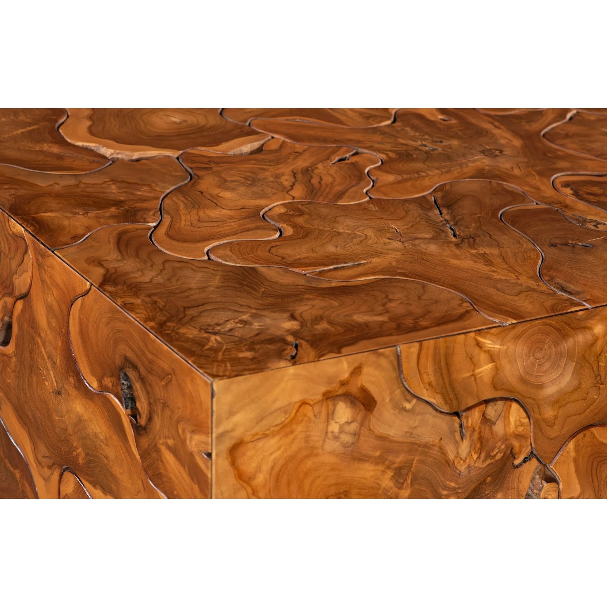 Teak Slice Rectangle Coffee Table by Phillips Collection in brown. Made from wood in a eclectic & global style.