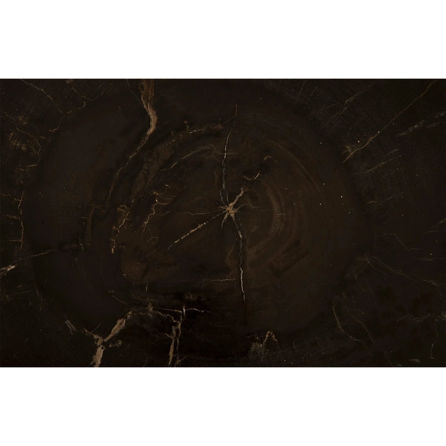 003 SR-939582 | Additional Silo | Petrified Wood Coffee Table by Phillips Collection in black. Made from petrified wood metal, stainless steel in a modern style.