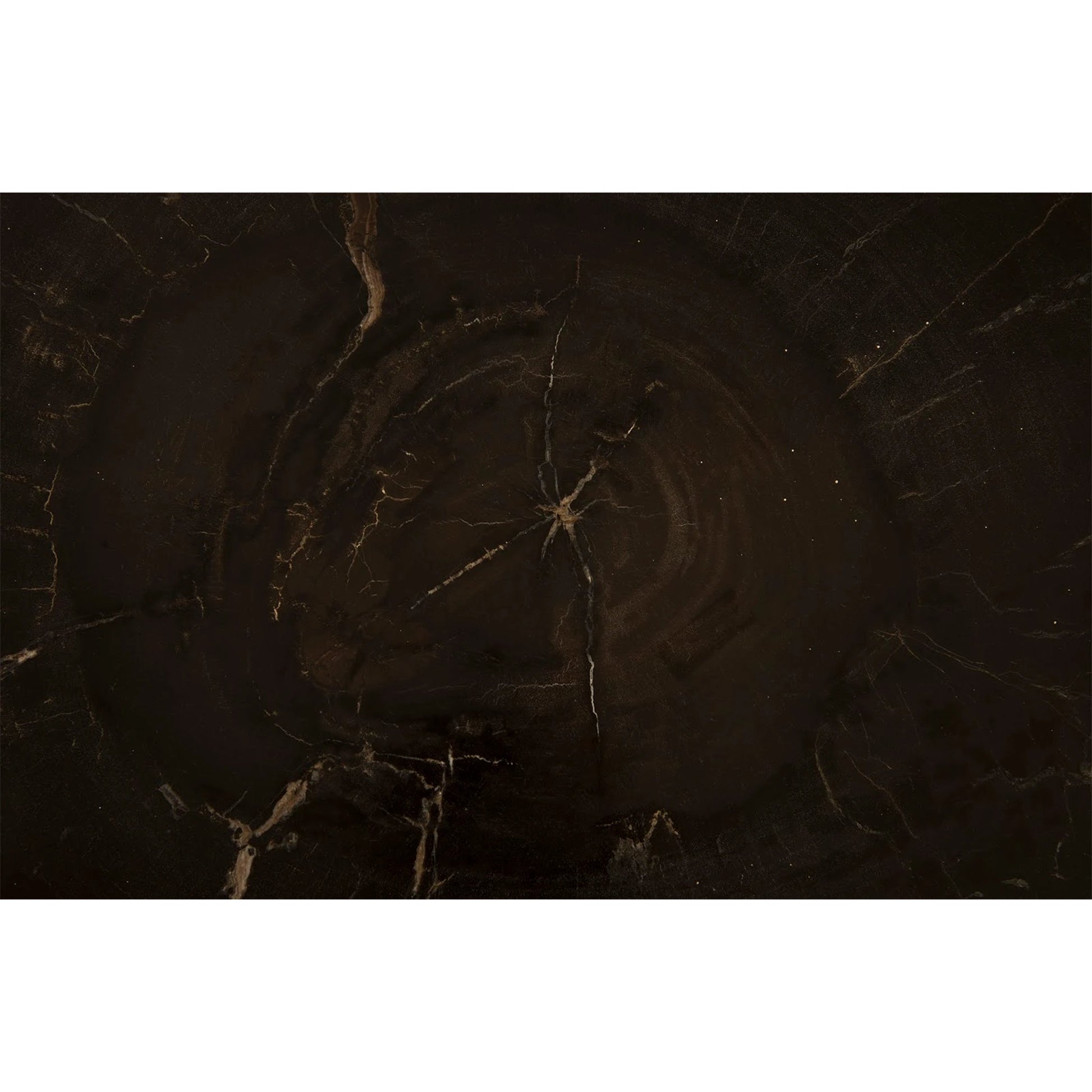 Petrified Wood Coffee Table by Phillips Collection in black. Made from petrified wood metal, stainless steel in a modern style.