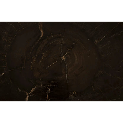 Petrified Wood Coffee Table by Phillips Collection in black. Made from petrified wood metal, stainless steel in a modern style.