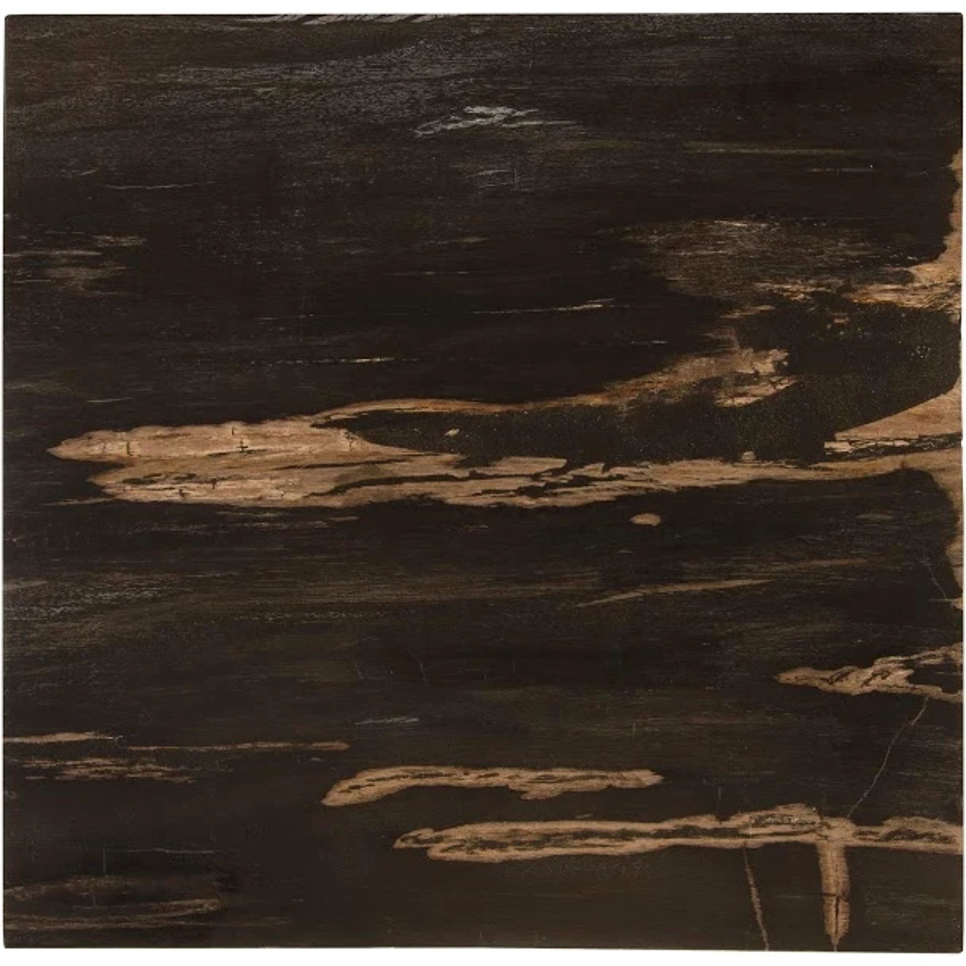 Petrified Wood Side Table by Phillips Collection in black, silver and natural, silver. Made from petrified wood metal in a transitional style.