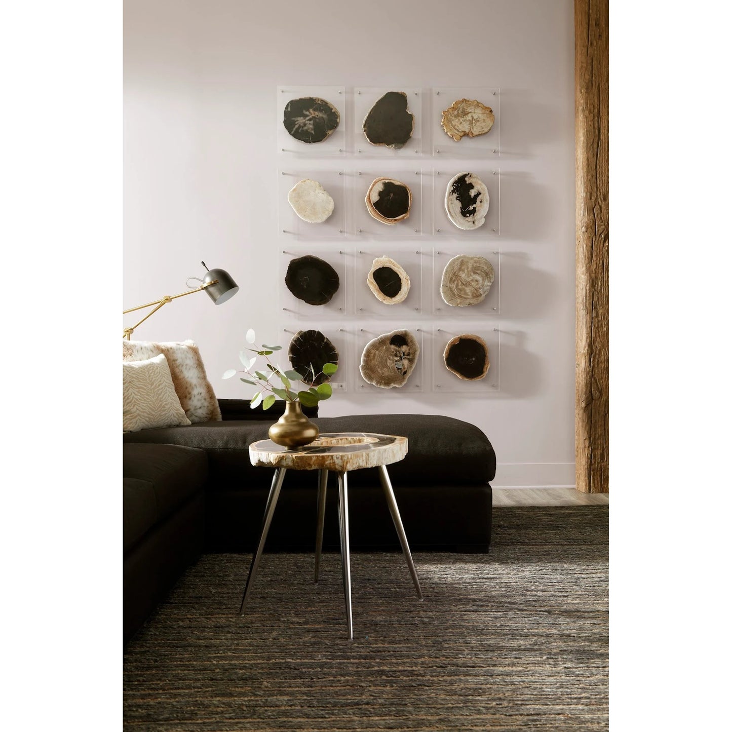 007 SR-820378 | Lifestyle | Floating Petrified Slice Wall Art by Phillips Collection in black, beige. Made from petrified wood in a modern style.