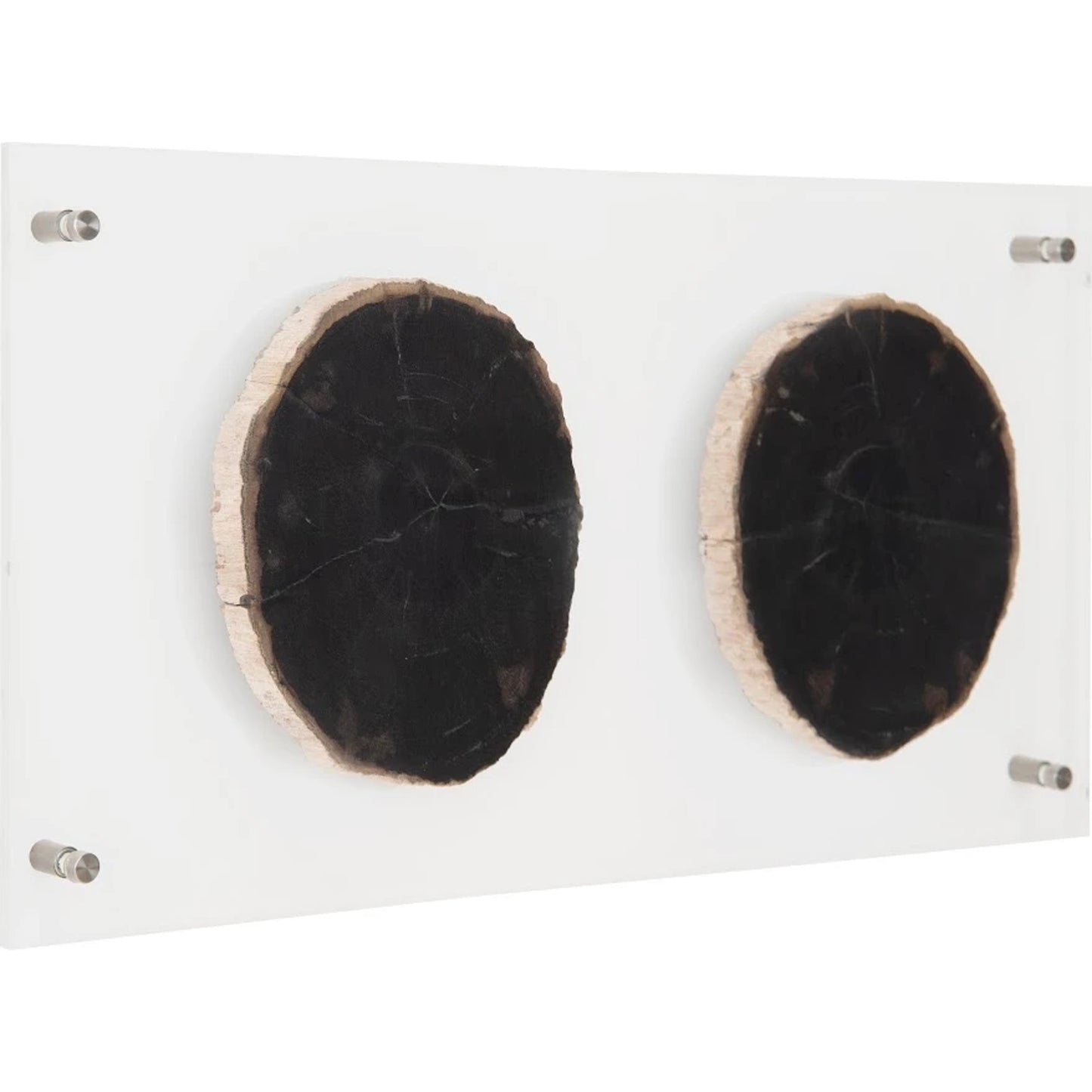005 SR-820377 | Additional Silo | Floating Petrified Double Slice Wall Art by Phillips Collection in beige, black. Made from petrified wood in a modern style.