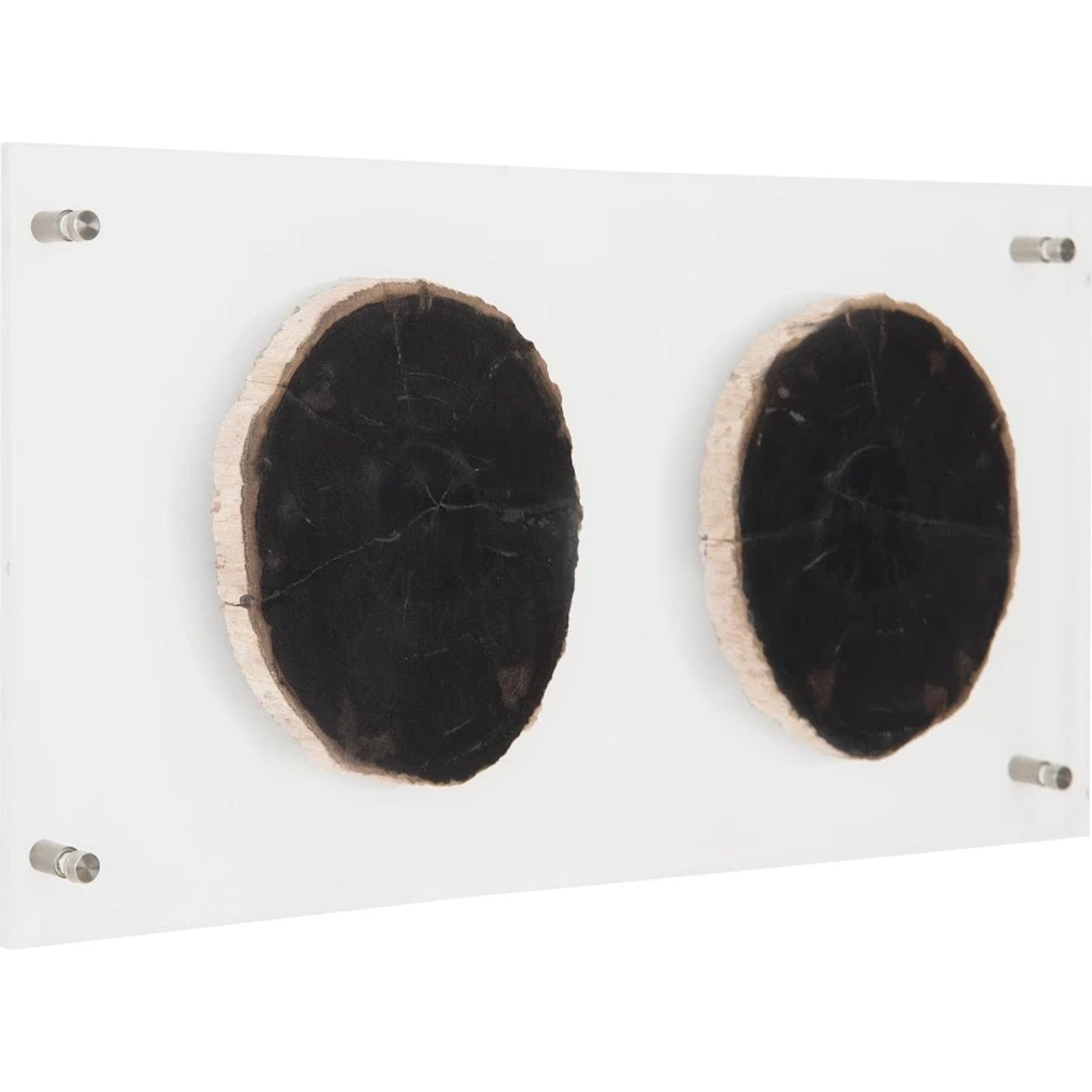 Floating Petrified Double Slice Wall Art by Phillips Collection in beige, black. Made from petrified wood in a modern style.