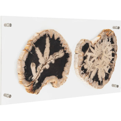 Floating Petrified Double Slice Wall Art by Phillips Collection in beige, black. Made from petrified wood in a modern style.