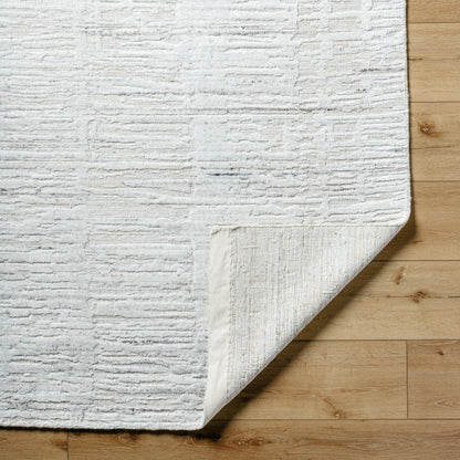 Jackie JAK-2306 Rug by Surya in ivory, sandstone, light taupe, charcoal. Made from face: 70% viscose, 30% wool, warp: 100% cotton in a unique style.