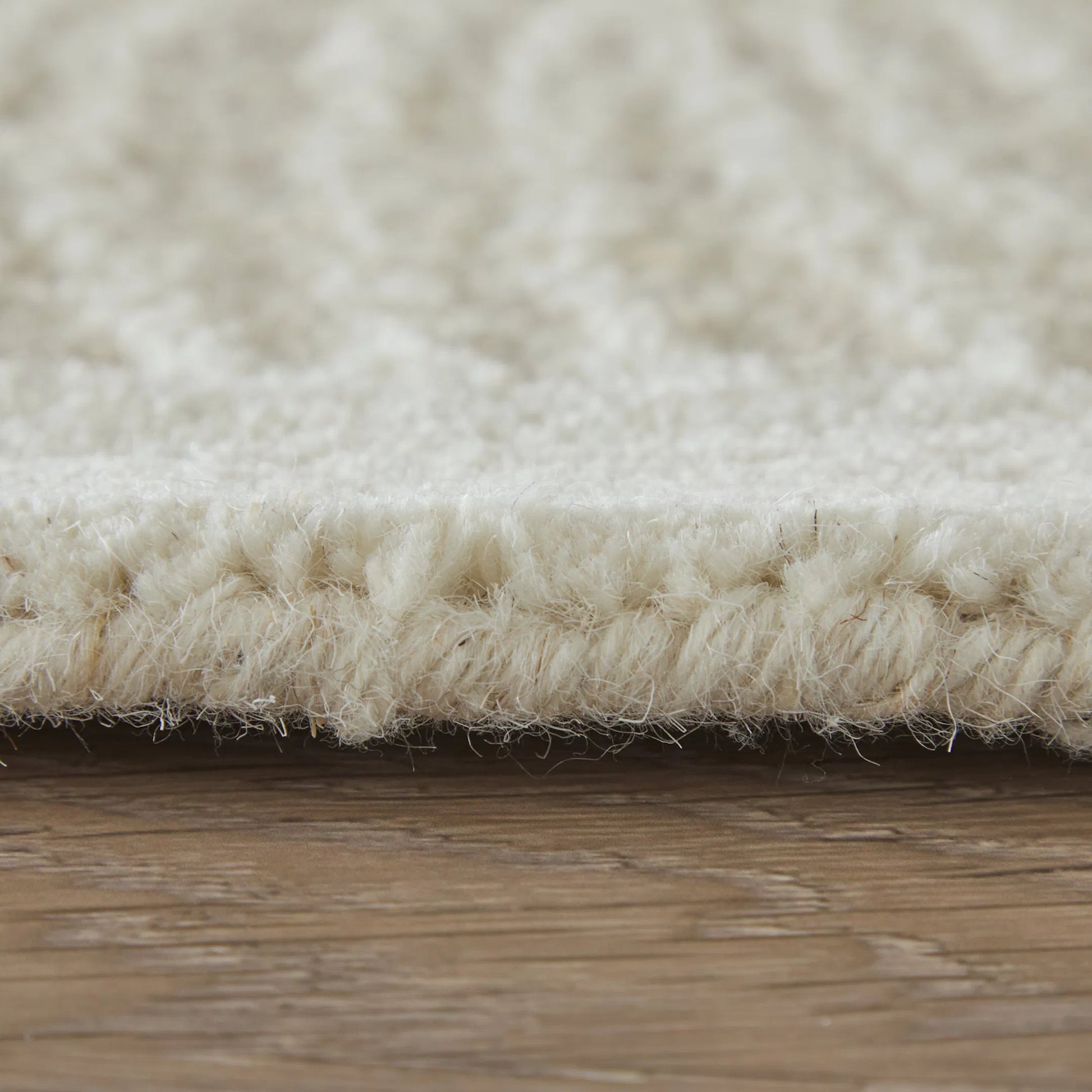 Winston & Botanical WNS8B02F Rug by Feizy. Made from wool in a unique style.