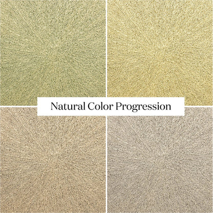 Pascal Coffee Table by Four Hands in light natural. Made from pandan rope, albasia plywood, rattan in a coastal style.