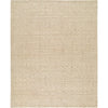 Beige, Sandstone, Cream / 2' x 3'