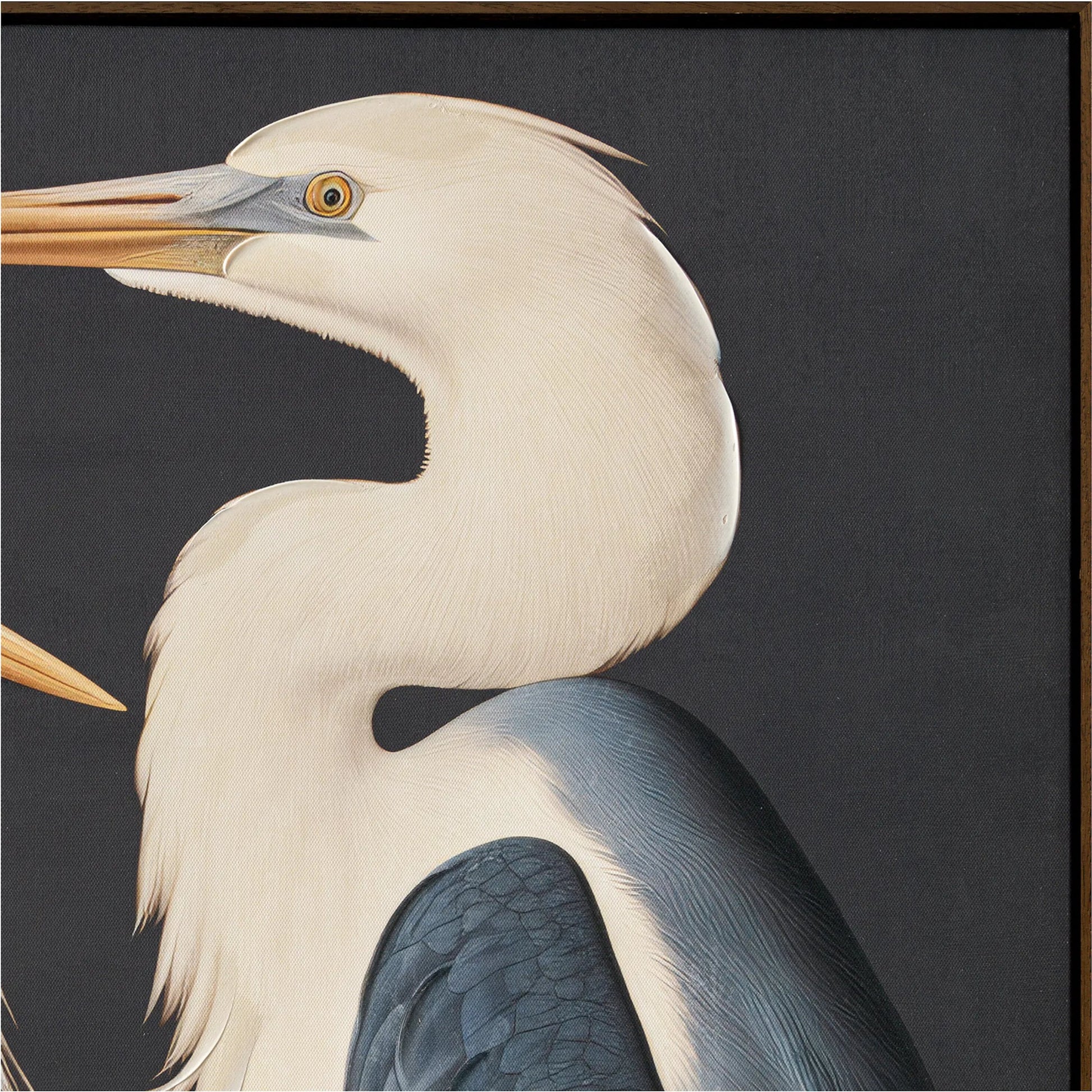 Two Cranes Framed Painting by Moe's Home Collection in multicolor. Made from acrylic paint on canvas, polyester canvas, solid wood frame, fir wooden stretcher in a coastal style.