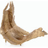 Gold / Large