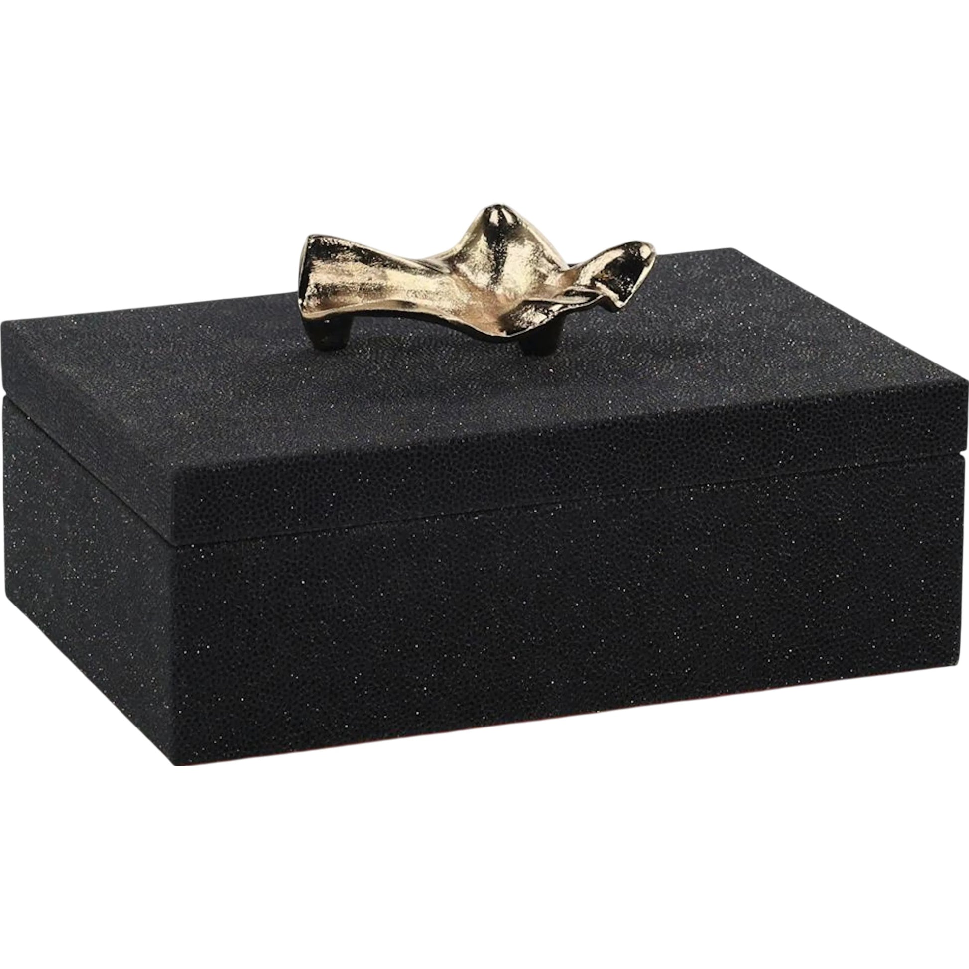 Taylor Box by John-Richard in black, brass. Made from unique in a modern style.
