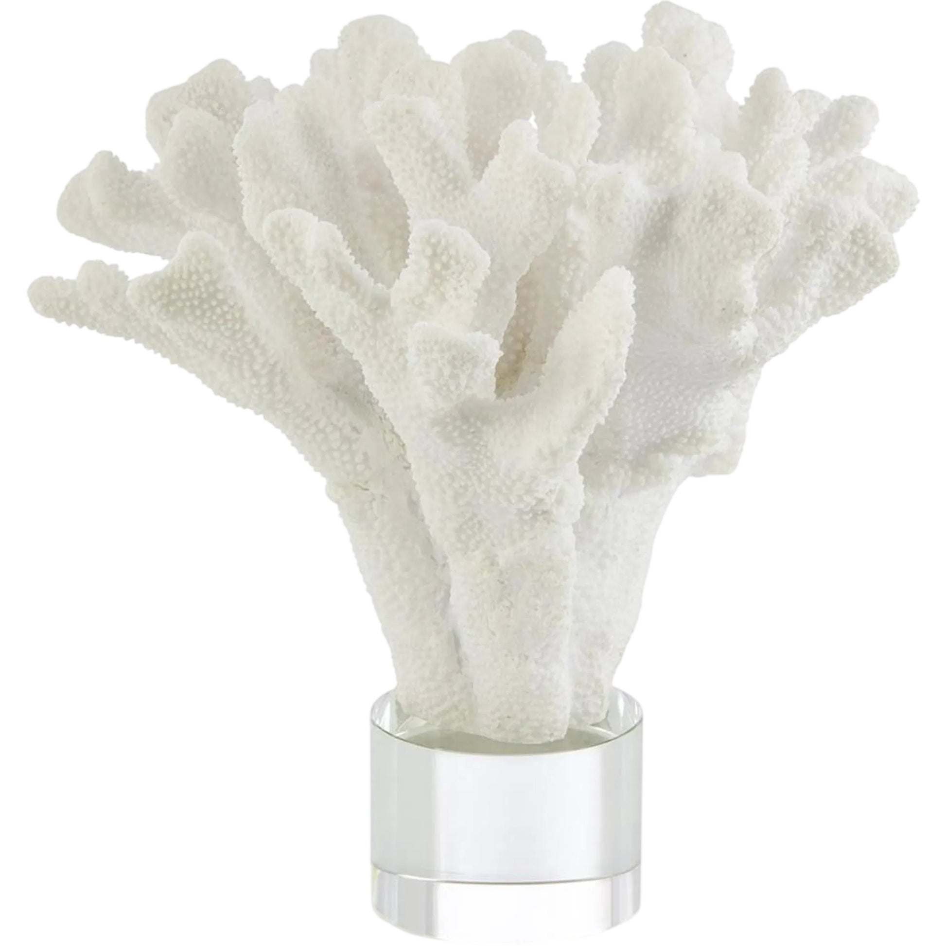 Coral Sculpture on Crystal by John-Richard. Made from unique in a unique style.